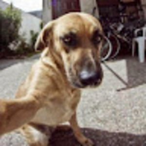 Meet your Posher, Fred